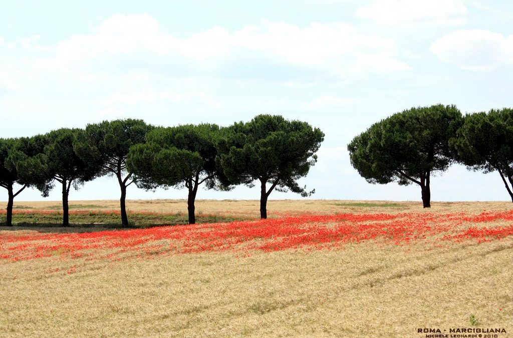 Primo colpo di piccone per il tempio di Roma